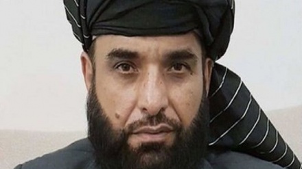 اعلام آمادگی طالبان برای مذاکره با دولت افغانستان