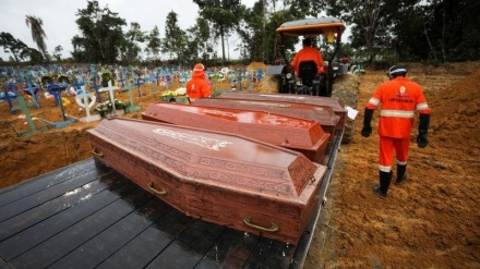 ברזיל: 703 בני אדם מתו ביממה מקורונה