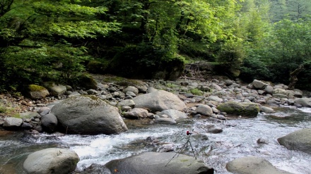 Fotos: la Cascada de Lushki de Talesh