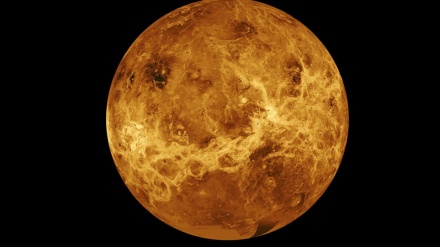 Олимлар Венера сайёрасида ҳаёт изларини топишди  