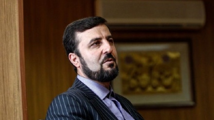 在ウィーン国際機関イラン代表、「シオニスト政権の核兵器入手は世界的脅威」