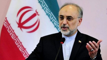 イラン原子力庁長官、「イランはＩＡＥＡに対する責務を履行」