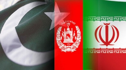 巴基斯坦在与阿富汗和伊朗边境建立三个市场