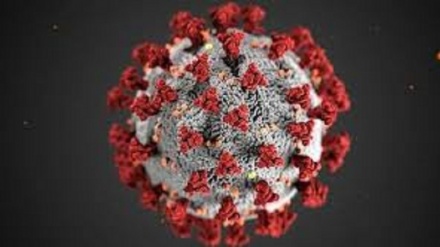 Coronavirus entra nei palazzi del potere in Europa