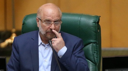 イラン国会議長「パレスチナ国民の参加を抜きにした解決策はありえない」