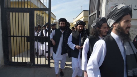 بازگشت تعدادی از زندانیان آزاد شده طالبان به میدان جنگ افغانستان 