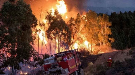 Ejército español colabora para extinguir el incendio forestal de Huelva+Video