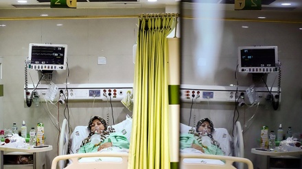 イランの新型コロナ、新たに3875人が感染、195人が死亡