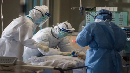 Ўзбекистонда коронавирусга чалинганлар сони 51 769 кишига етди