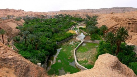 Азмеғон – чӯл бағридаги жаннат