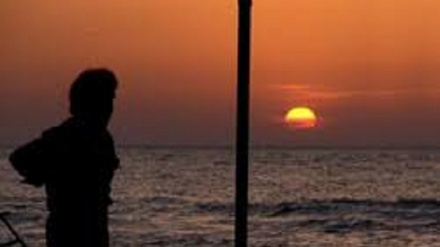 Түркияда өткен «Алтын шафран» халықаралық кинофестивалінде ең үздік фильм жүлдесі ирандық режиссерге табысталды