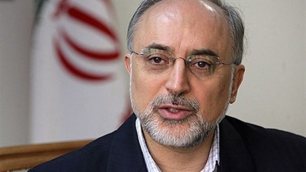 صالحی: اصلاح جهان امروز نیازمند احیای معنویت دینی است
