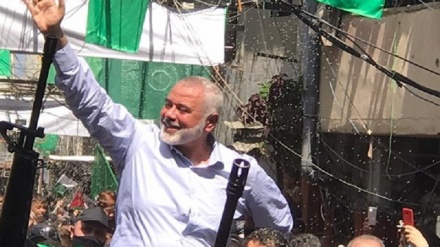 Haniyah: Kamp Palestina, Benteng Muqawama