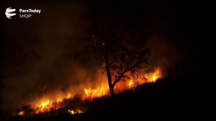 Bregu Perëndimor i SHBA vazhdon të digjet, Trump e bën syrin qorr