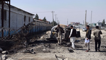 Dozens of Afghan soldiers have been killed in clashes with Taliban since peace talks began