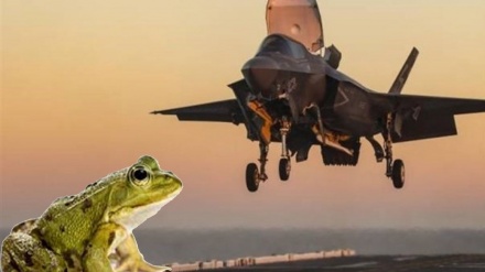 השלום או כאב ראש?