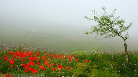 (FOTO DEL GIORNO) La bellezza della natura