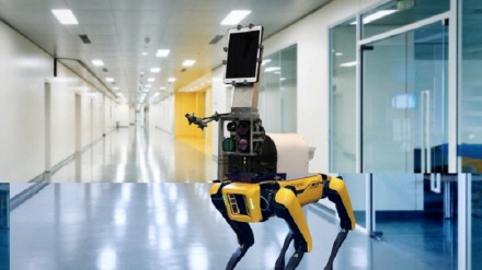 Coronavirus: robot quadrupede esamina i pazienti a distanza