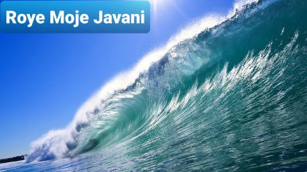 روی موج جوانی