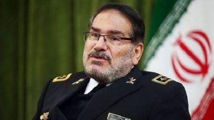 沙姆哈尼：妥协导致犹太复国主义政权继续杀害妇孺