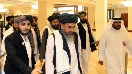 7000 बंदी तालेबान को आज़ाद किया जाए तभी वार्ता संभवः नईम वरदक 