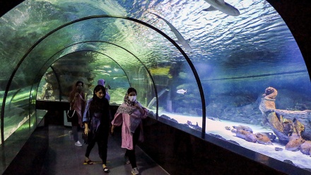 Исфаҳондаги энг катта тунель-аквариум (фотожамланма)
