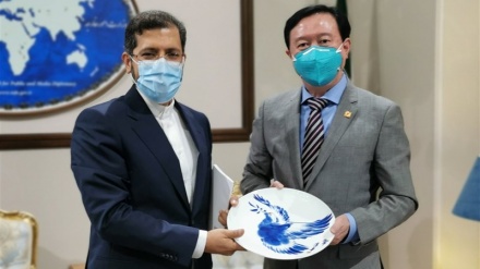 中国驻伊朗大使会见伊朗外交部发言人