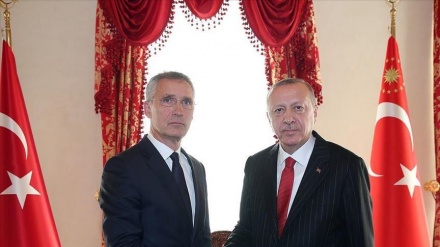 Erdoğan, NATO Genel Sekreteri Stoltenberg ile telefonda görüştü
