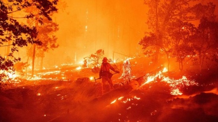 米オレゴン州山火事、車内で少年の遺体発見