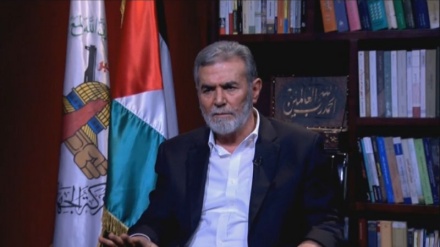 Xhihadi Islamik Palestinez: Rezistenca në luftë me regjimin sionist nuk njeh vija të kuqe