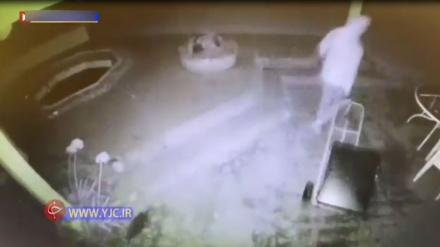 Amerikada bir polisiýa ougurlyk etdi