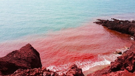 Ҳурмуз ороли