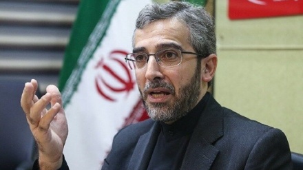 イラン、人権問題をめぐる西側のダブルスタンダードを批判