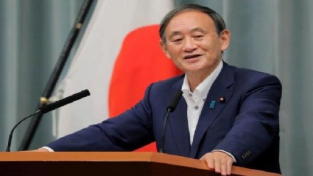 日本内阁官房长官菅义伟在自民党总裁选举中获胜