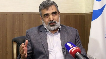 イラン原子力庁報道官、「国内で新世代型遠心分離機の開発･製造が順調に進展」