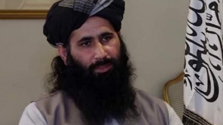 طالبان: در پی برکناری رییس‌جمهوری افغانستان نیستیم