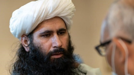 طالبان : افغانستان تهدیدی برای دیگر کشورها  نیست 