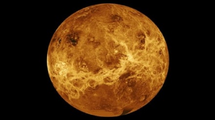 Might we find life on Venus?