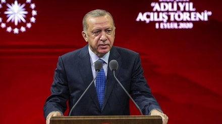 埃尔多安总统：土耳其在地中海追求权利和正义