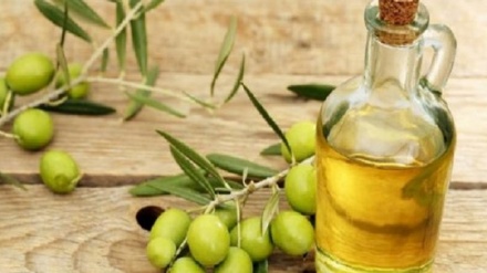 د زیتون تیل د انسان اعصاب ځوان ساتي 