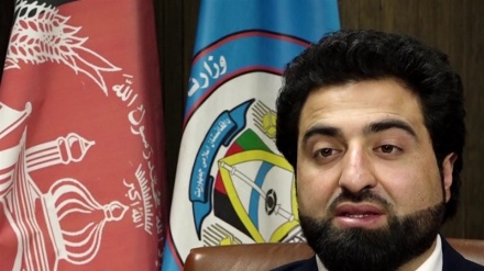  انتقاد یک مقام سابق دولتی افغانستان از سفر حکمتیار به پاکستان