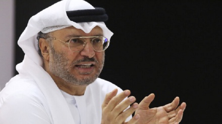 阿联酋外交大臣：土耳其在卡塔尔驻军是波斯湾地区的一个不稳定因素 