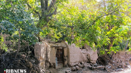 (FOTO) Iran, l'autunno e la bellezza della natura- 2