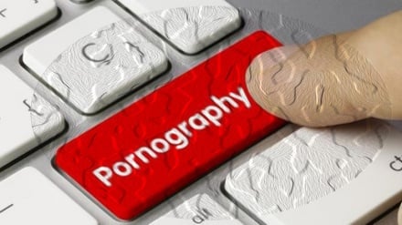 ঢাকায় শিশু পর্নোগ্রাফি তৈরির সঙ্গে জড়িত চক্রের তিন তরুণ আটক