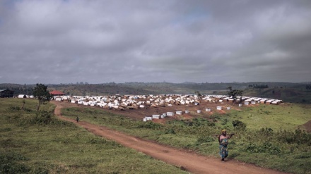  Congo army killed 33 militiamen in Ituri fighting 