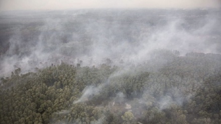 Ucraina: incendio nei boschi vicino al fronte, 9 morti