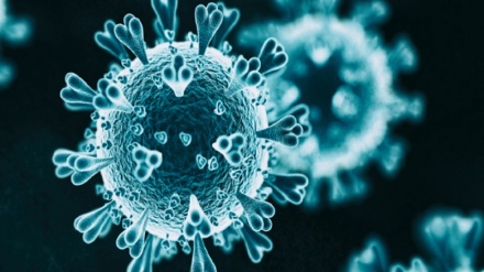 رعب آورترین یافته‌های دانشمندان درباره ابتلای مجدد به کرونا