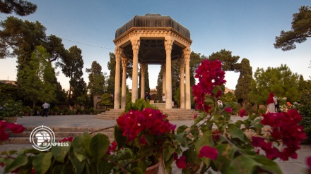  زیارتگاه رندان جهان + فیلم