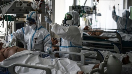 Ўзбекистонда Covid-19 билан касалланганлар сони 59,5 мингдан ошди  