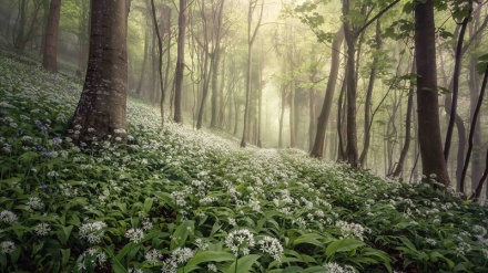 Fotoreportazh nga konkurrenca për fotografitë me peizazh më të bukur në vitin 2020